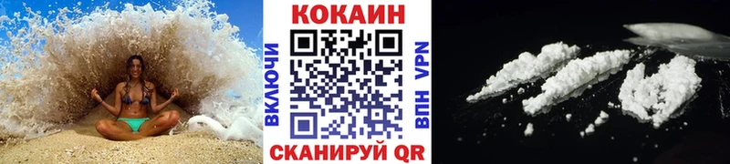 COCAIN Fish Scale  Купить где  Сысерть 