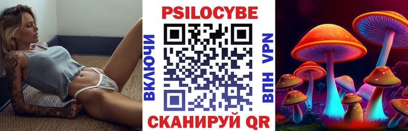 Купить где  Сысерть  Псилоцибиновые грибы Cubensis 